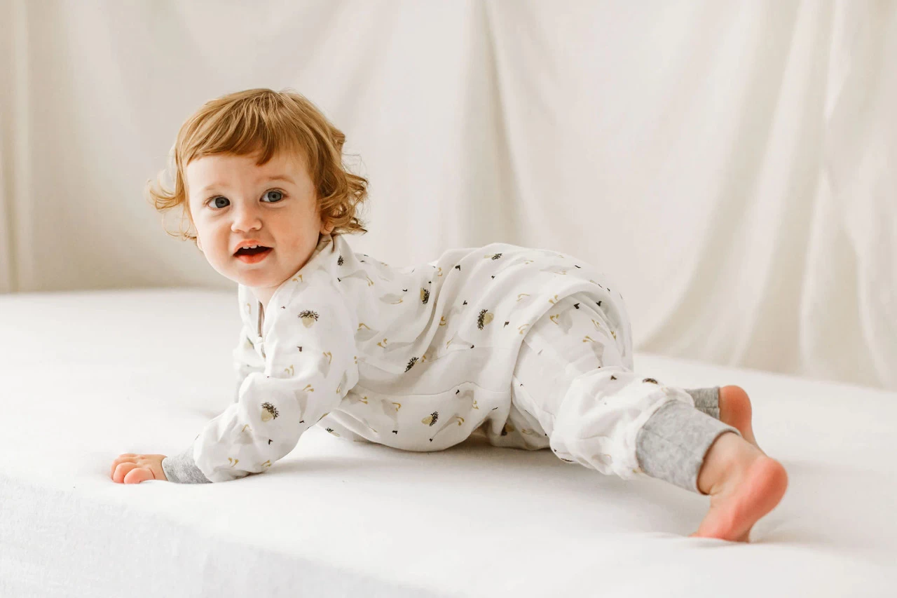 Nest Designs 0.6 TOG Long Sleeve Footed Sleep Bag - Goose & Golden Egg - Image 2